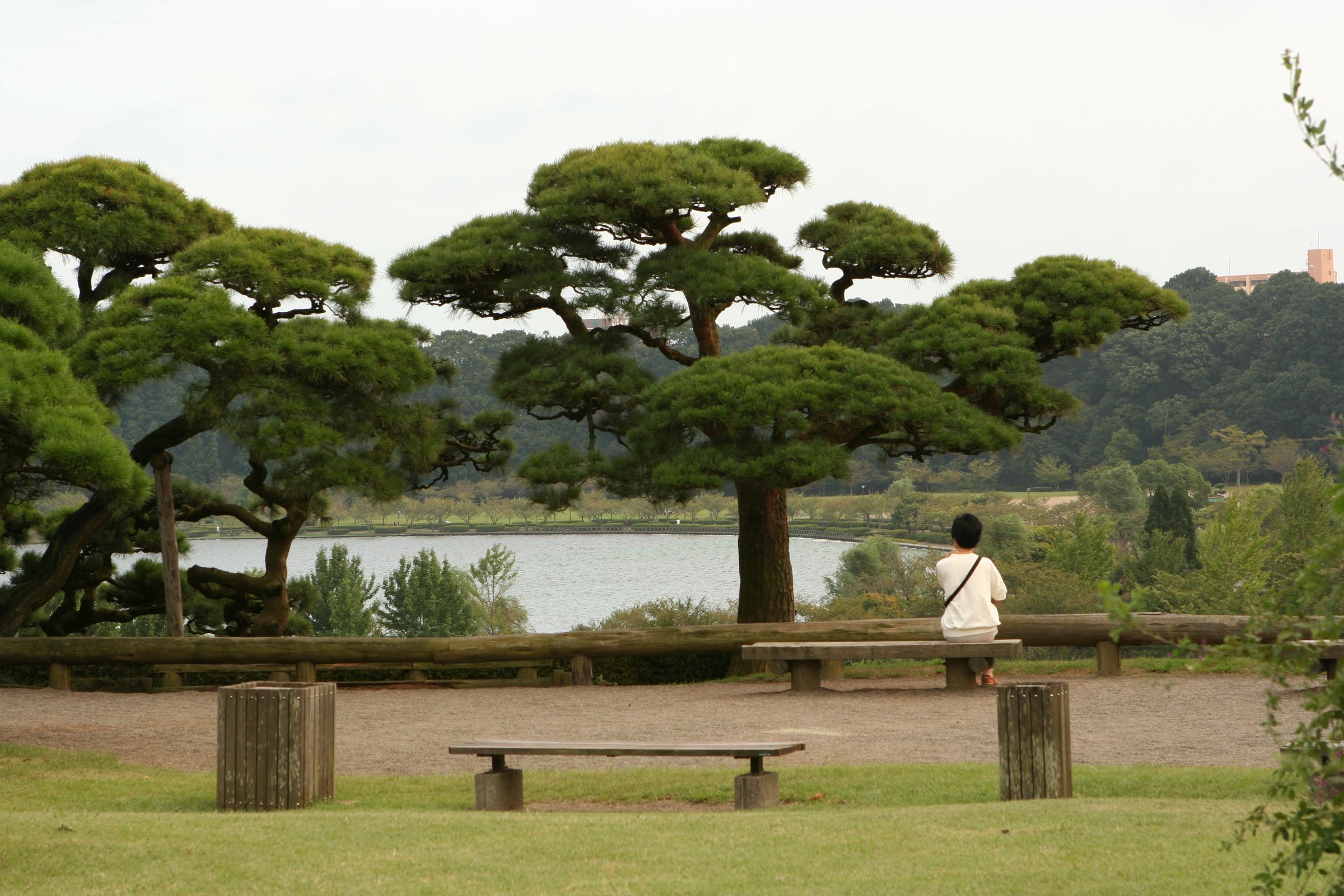 Countryside scenery in Ibaraki, Japan