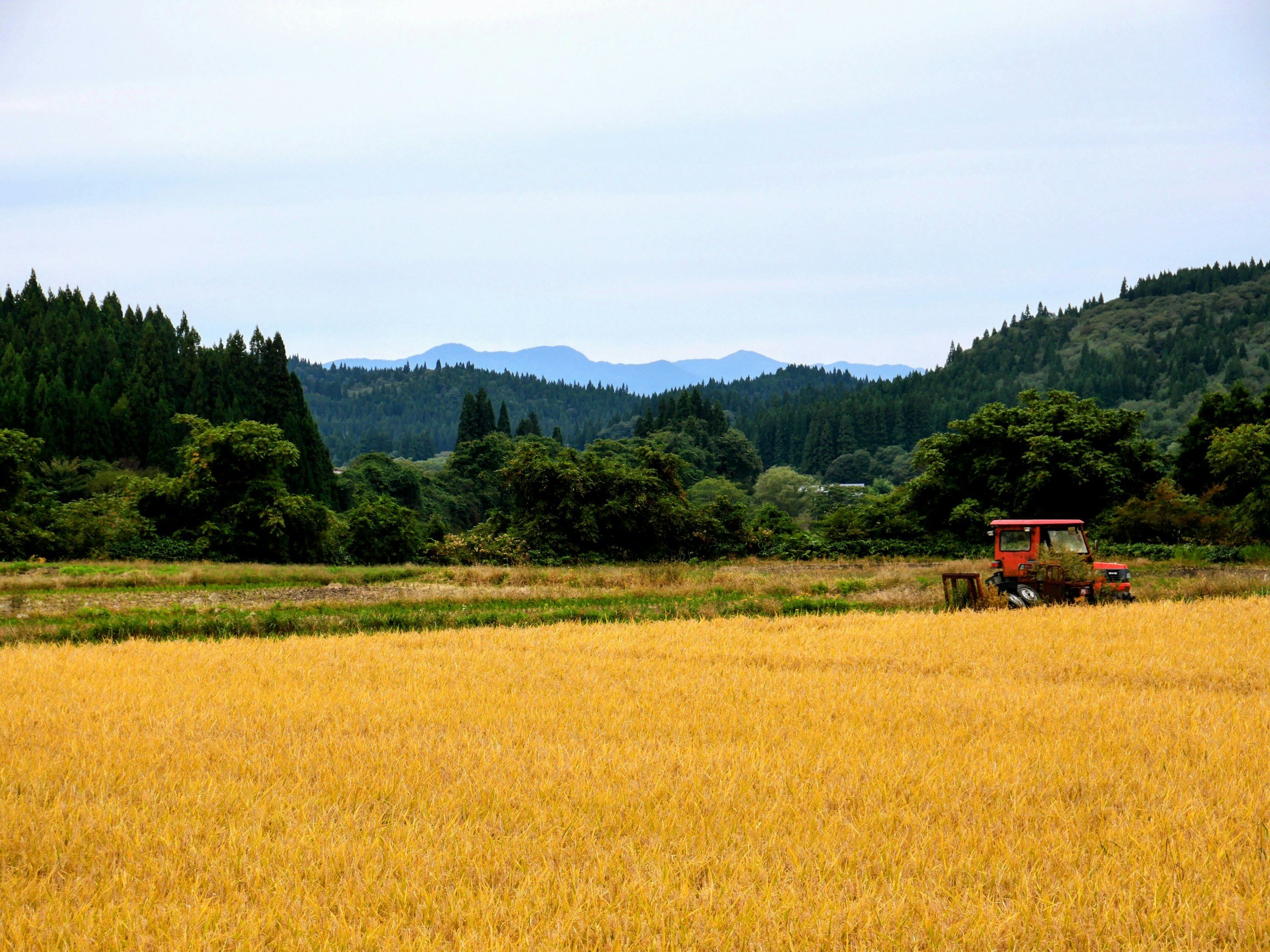 Countryside scenery in Niigata, Japan
